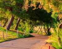 Nieuwbouw - Villa - Pilar de la Horadada - Lo Romero Golf