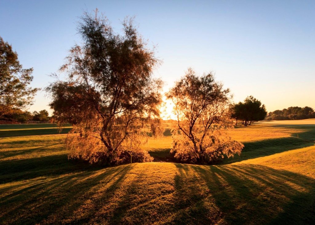 Nieuwbouw - Villa - Pilar de la Horadada - Lo Romero Golf