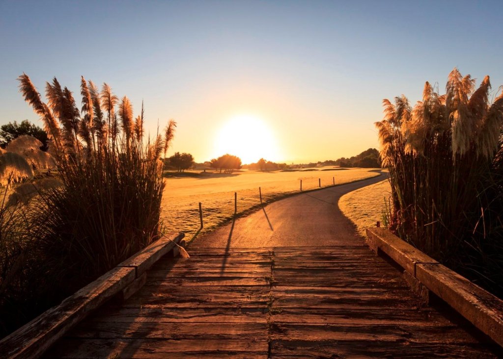 Nieuwbouw - Villa - Pilar de la Horadada - Lo Romero Golf