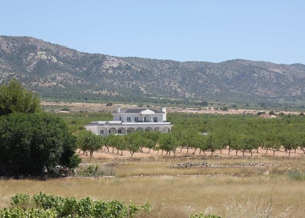 Nieuwbouw - Villa - Pinoso - Camino Del Prado