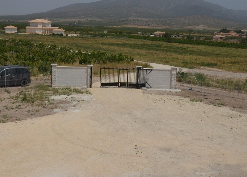 Nieuwbouw - Villa - Pinoso - Camino Del Prado