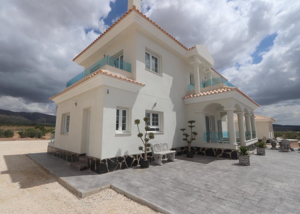 Nieuwbouw - Villa - Pinoso - Camino Del Prado