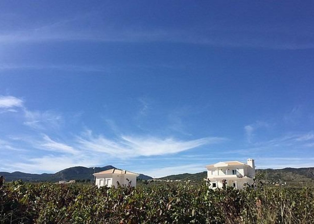 Nieuwbouw - Villa - Pinoso - Camino Del Prado