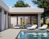 Nieuwbouw - Villa - Pinoso - Lel