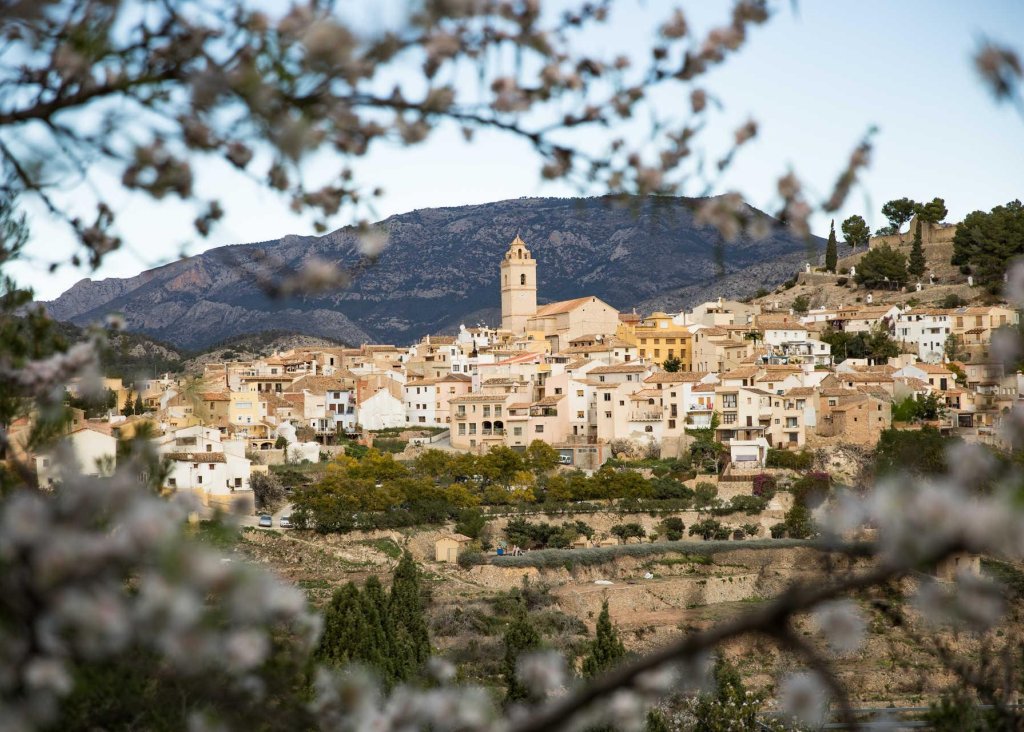 Nieuwbouw - Villa - Polop - Polop Hills
