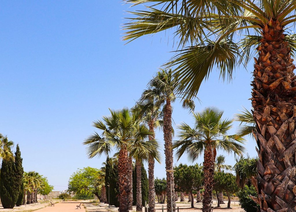 Nieuwbouw - Villa - San Fulgencio - La Escuera