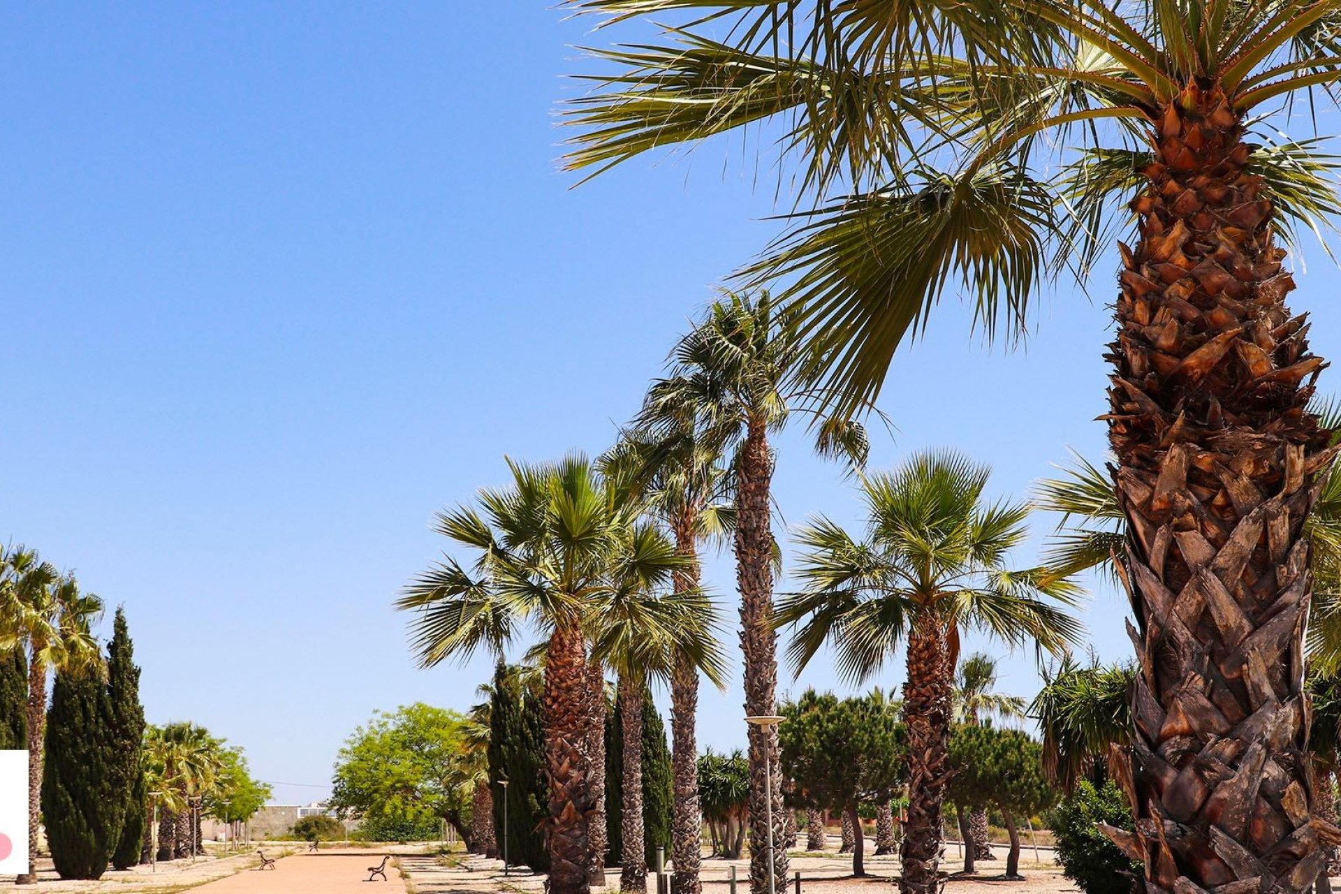 Nieuwbouw - Villa - San Fulgencio - La Escuera