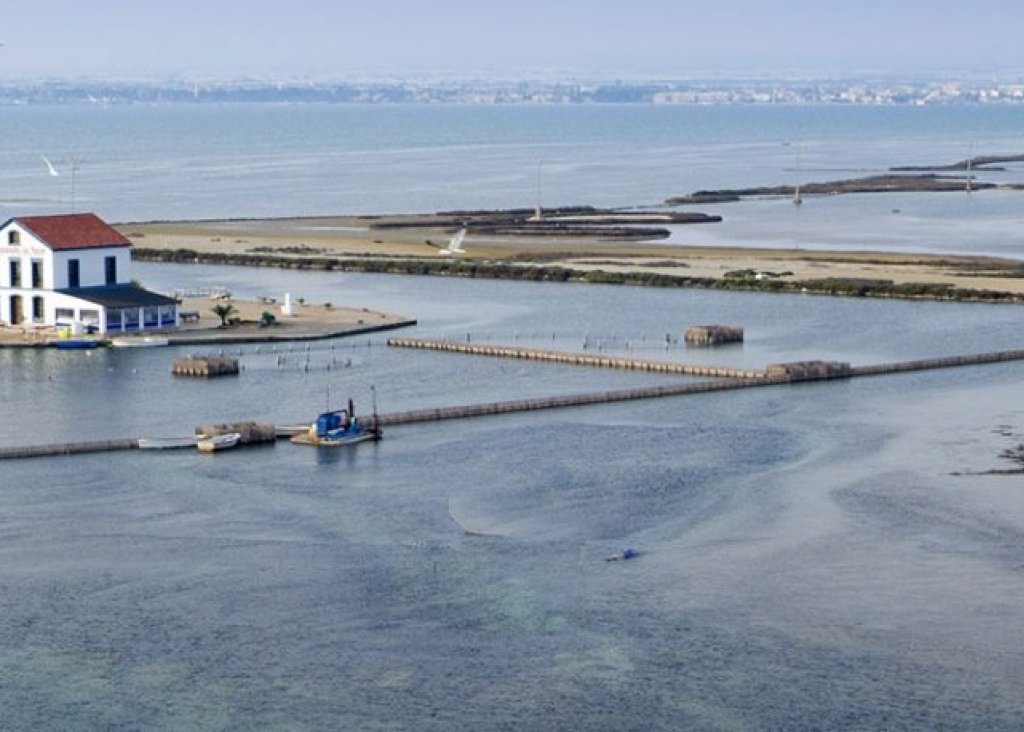 Nieuwbouw - Villa - San Pedro del Pinatar - El Salero