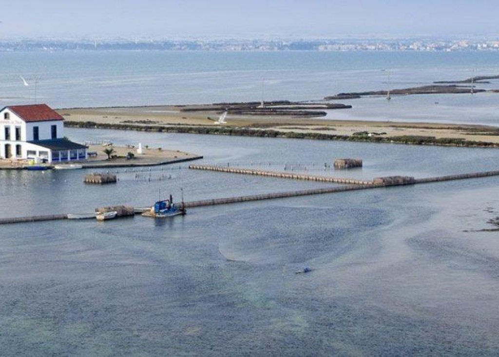 Nieuwbouw - Villa - San Pedro del Pinatar - Las Esperanzas