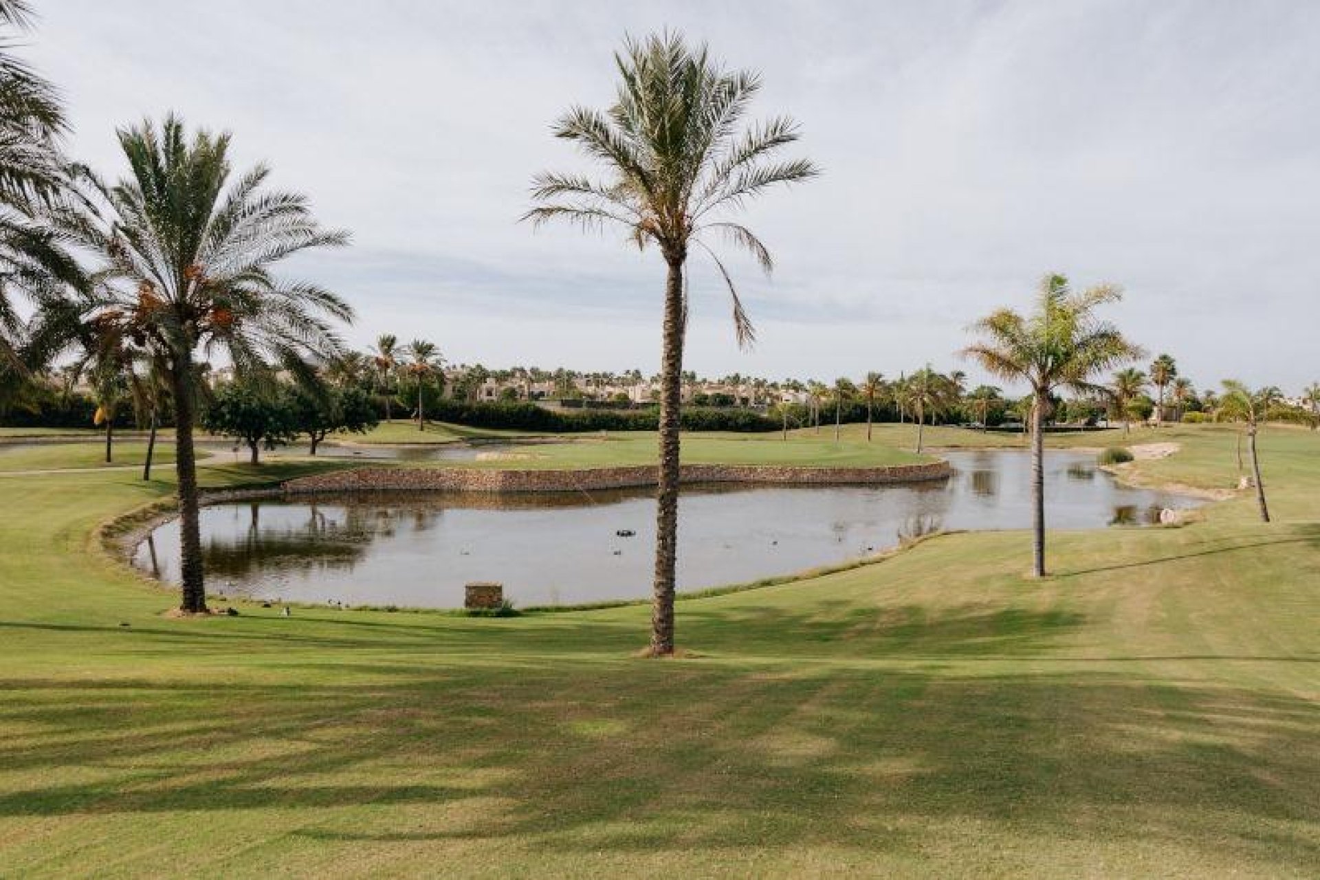 Nieuwbouw - Villa -  - Santiago de la Ribera