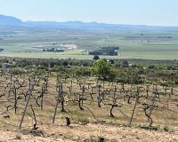 Nieuwbouw - Villa - Yecla