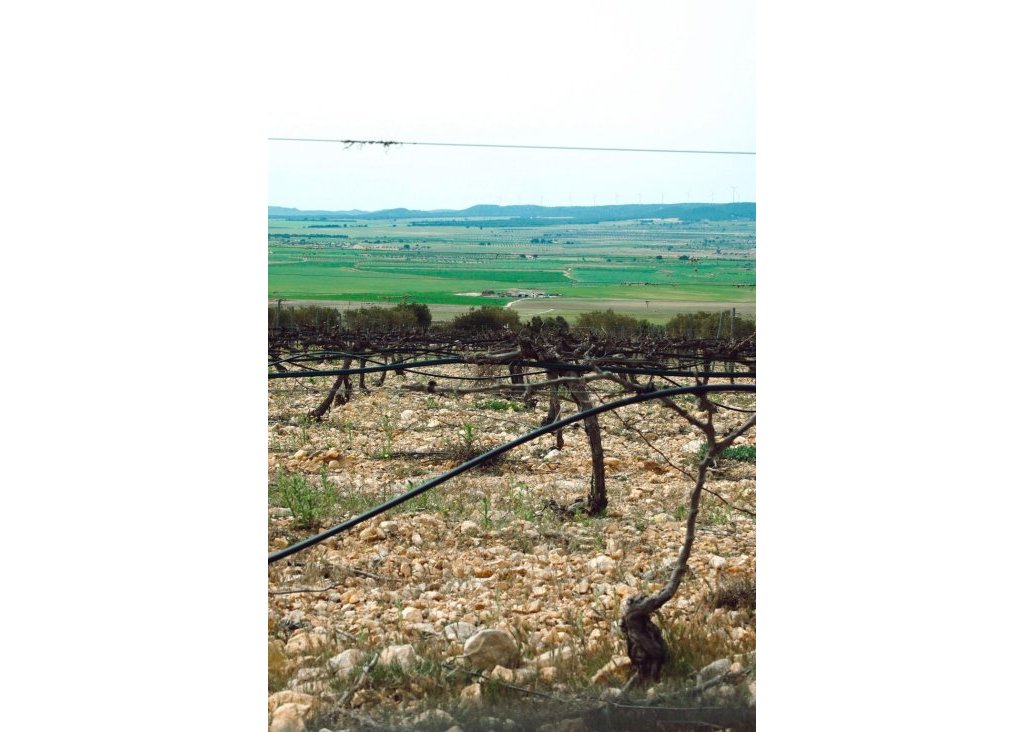 Nieuwbouw - Villa - Yecla