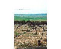 Nieuwbouw - Villa - Yecla