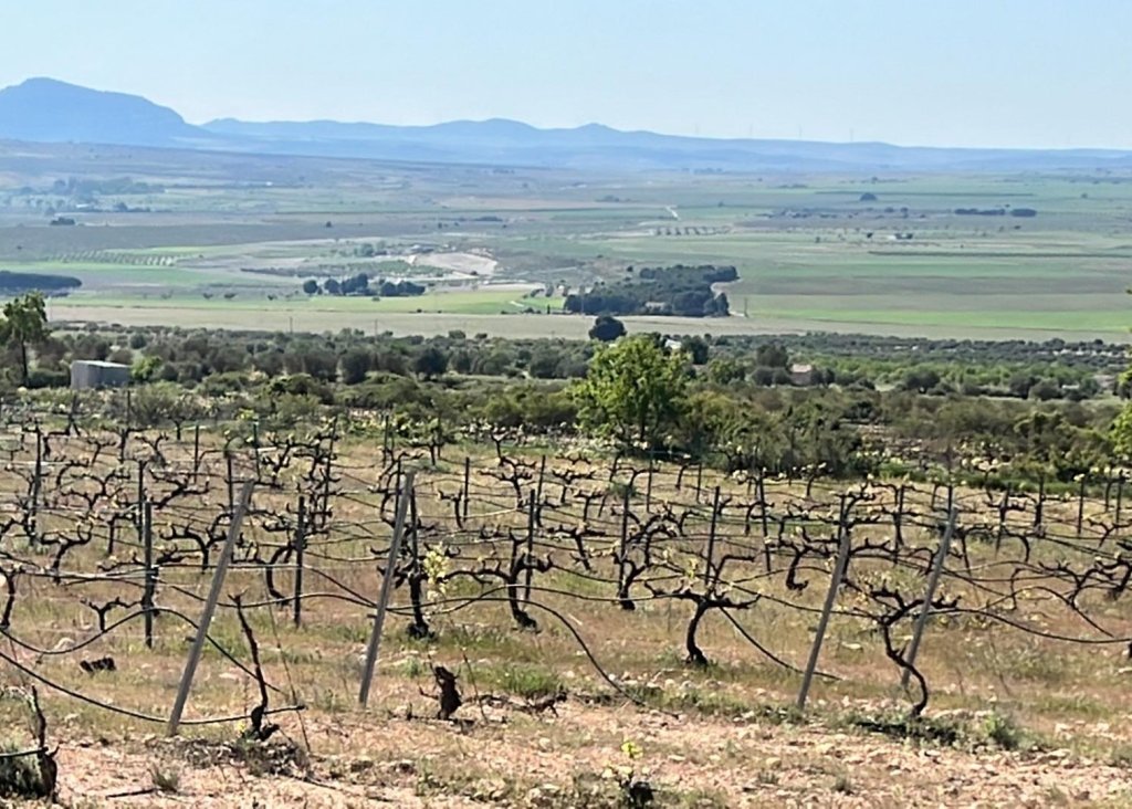 Nieuwbouw - Villa - Yecla