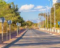 Nueva construcción  - Bungalow - Guardamar del Segura