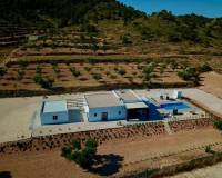 Nueva construcción  - Chalet - Jumilla - Torre del Rico