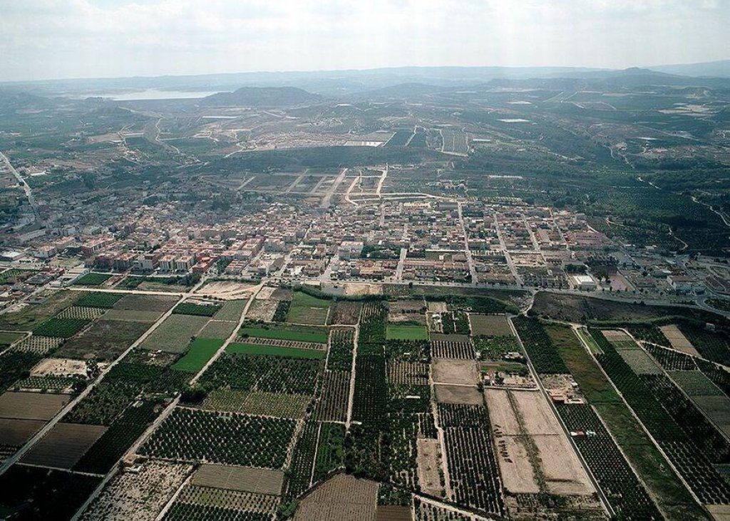 Obra Nueva - Apartment - Flat - Bigastro - Pueblo