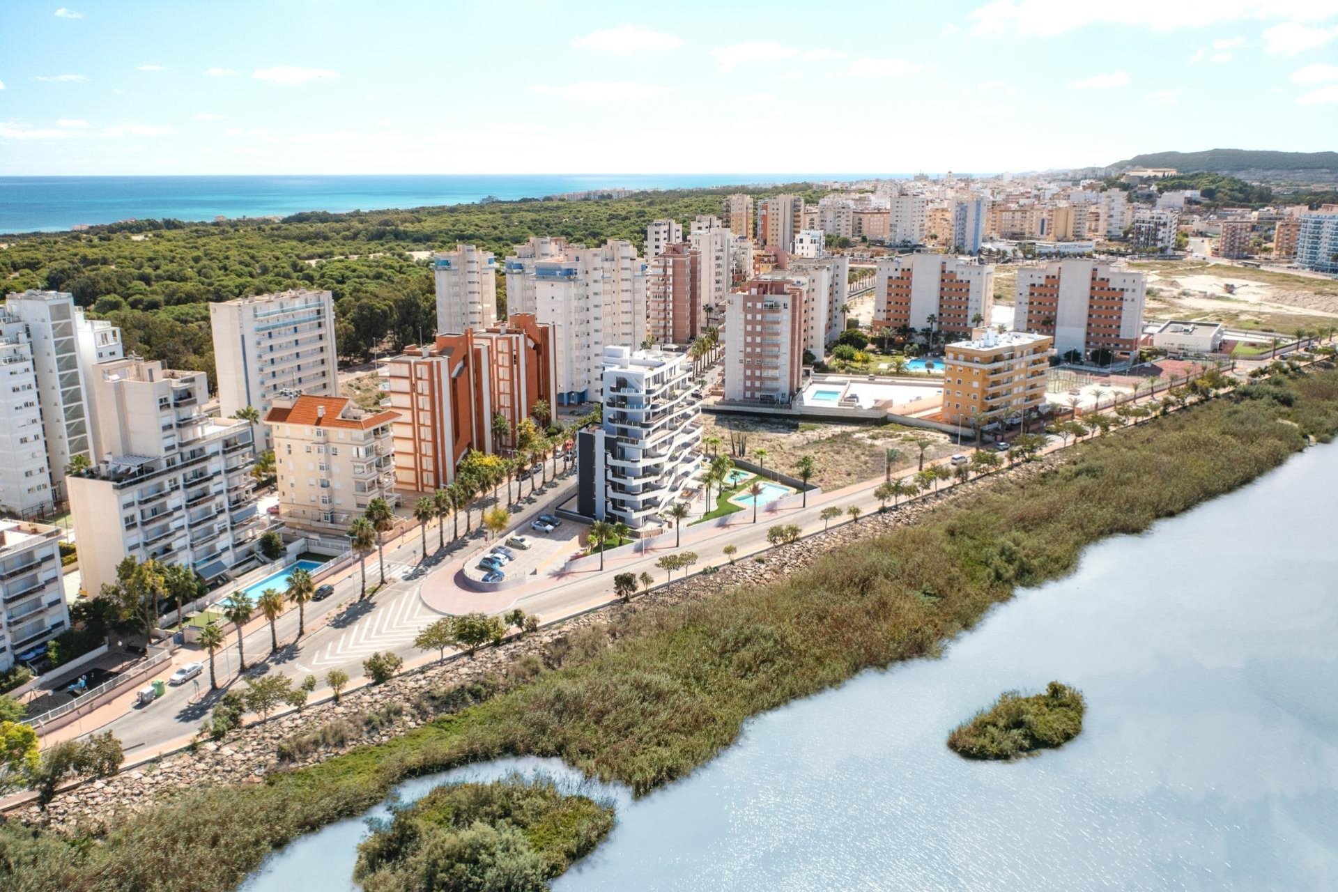 Obra Nueva - Apartment - Flat - Guardamar del Segura - Puerto