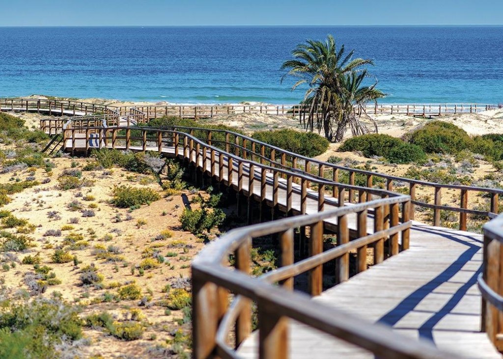 Obra Nueva - Apartment - Flat - Monforte del Cid - Alenda Golf