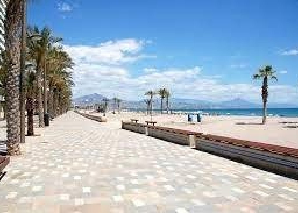 Obra Nueva - Apartment - Flat - San Juan Alicante - Fran espinos