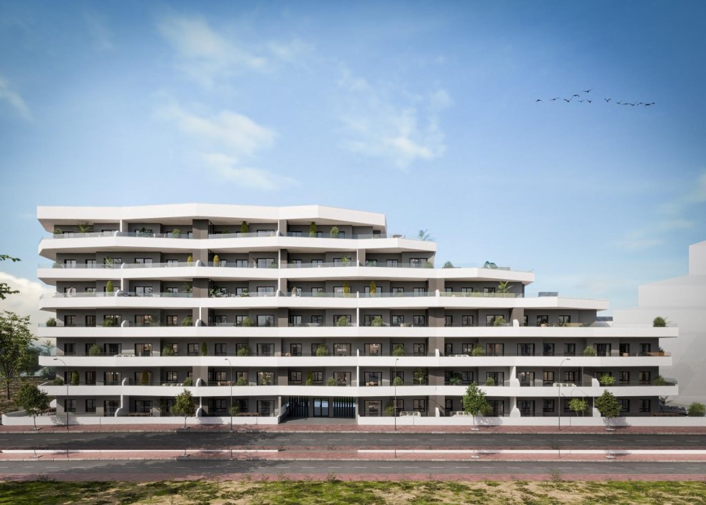 Obra Nueva - Apartment - Flat - San Miguel de Salinas - Pueblo