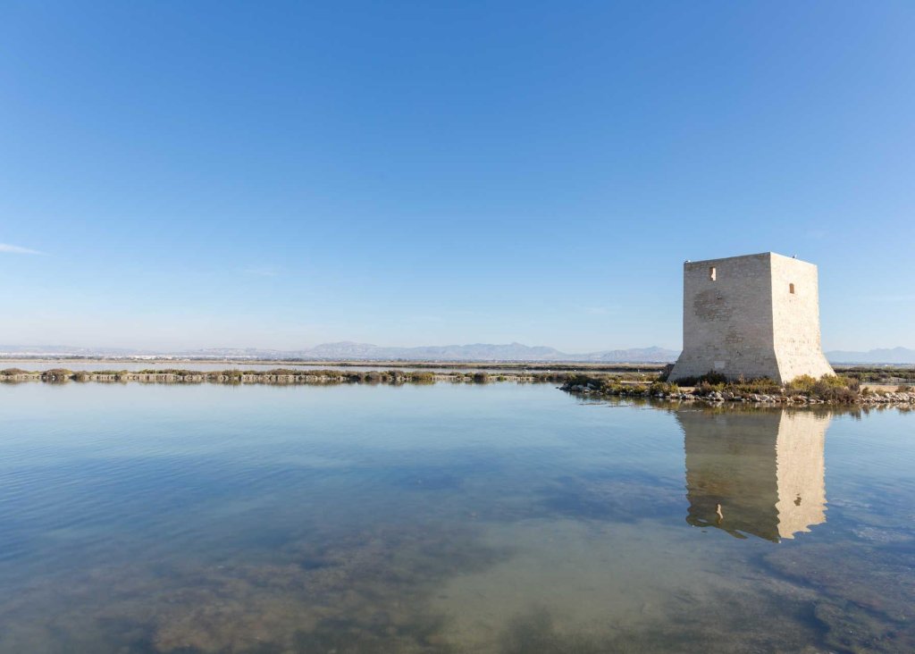 Obra Nueva - Apartment - Flat - Santa Pola - Estacion de autobuses