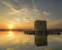 Obra Nueva - Apartment - Flat - Santa Pola - Estacion de autobuses