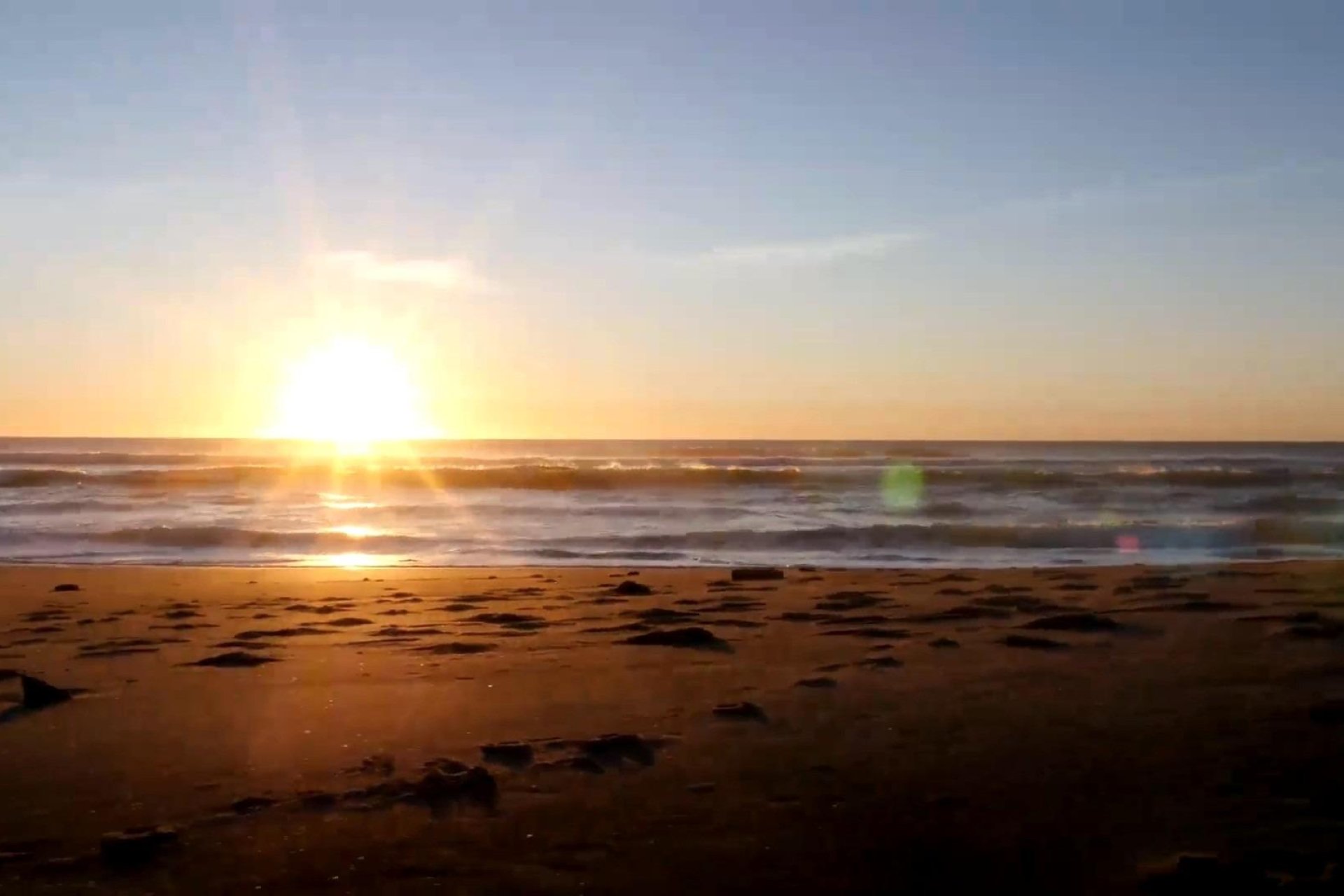 Obra Nueva - Apartment - Flat - Torrevieja - Centro