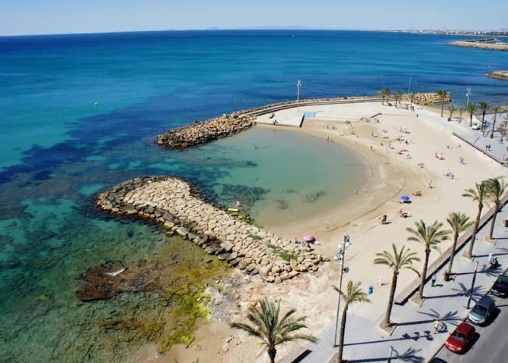 Obra Nueva - Apartment - Flat - Torrevieja - Habaneras