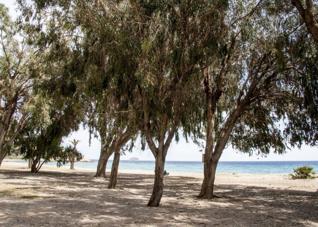 Obra Nueva - Apartment - Flat - Villajoyosa - Playa Les Torres