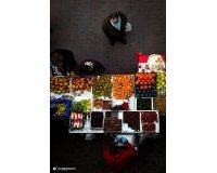 Obra Nueva - Bungalow - Dolores - Sector 2