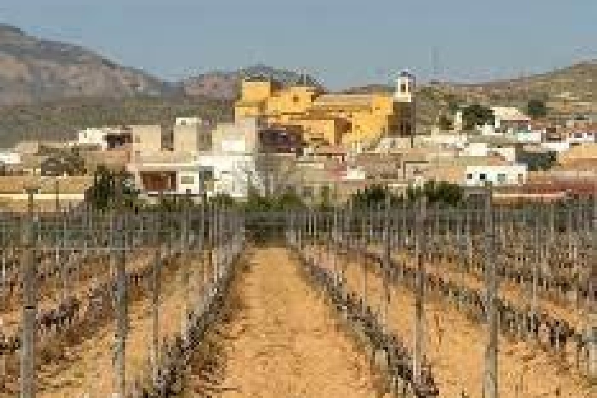 Obra Nueva - Bungalow - Hondón de las Nieves - El Salero