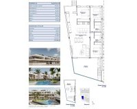 Obra Nueva - Bungalow - Pilar de la Horadada - Pueblo