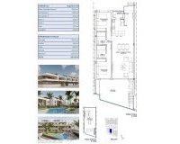 Obra Nueva - Bungalow - Pilar de la Horadada - Pueblo