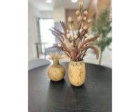 Obra Nueva - Bungalow - San Fulgencio - Pueblo