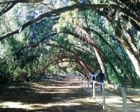 Obra Nueva - Bungalow - Torrevieja - Altos del Sol