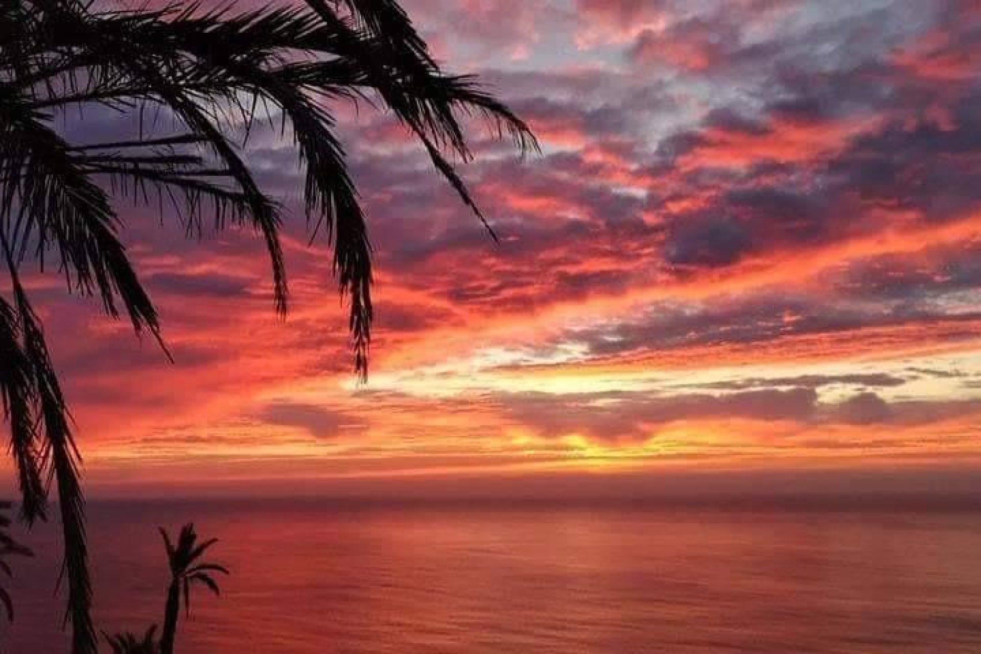 Obra Nueva - Bungalow - Torrevieja - Altos del Sol