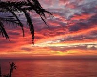 Obra Nueva - Bungalow - Torrevieja - Altos del Sol