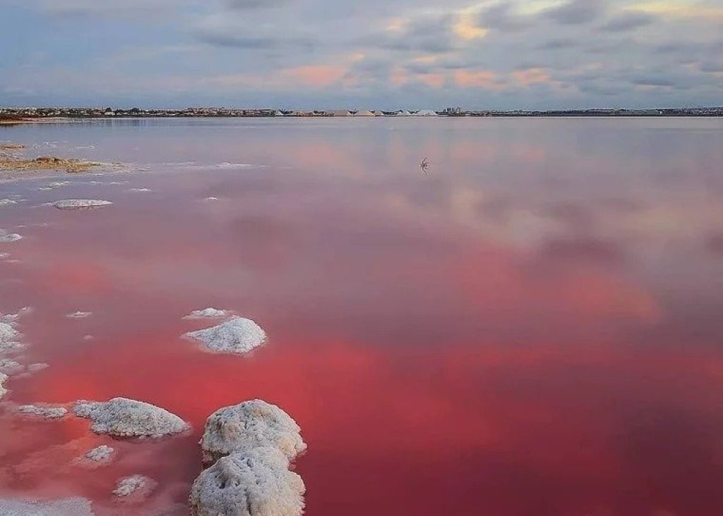 Obra Nueva - Bungalow - Torrevieja - Lago Jardín II