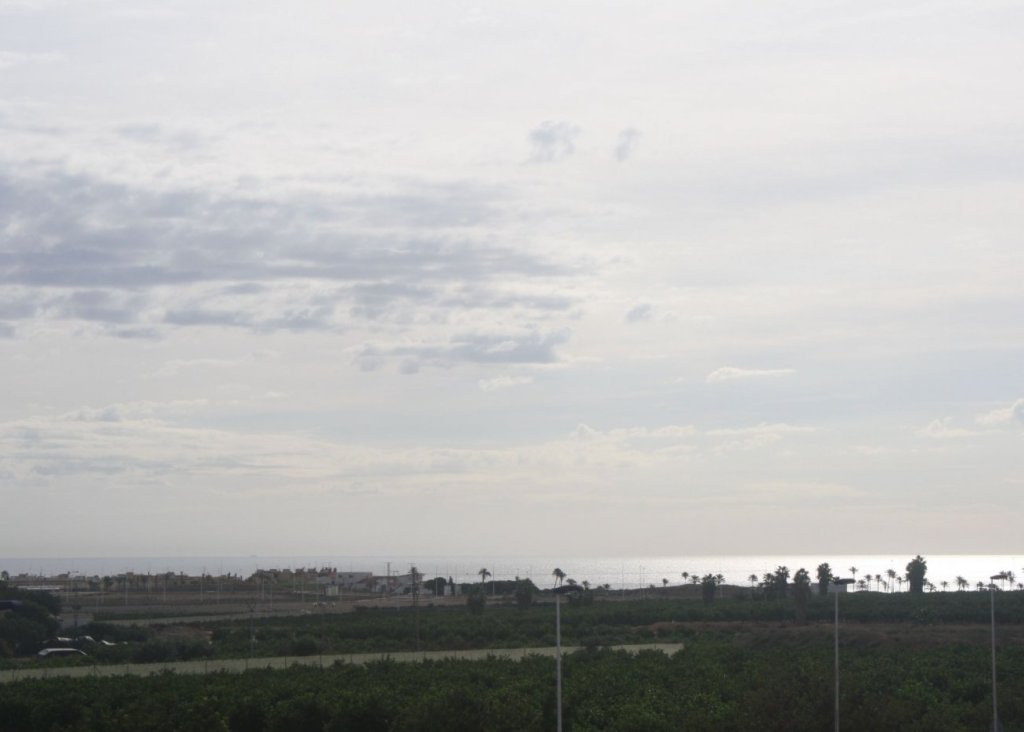 Obra Nueva - Bungalow - Torrevieja - Los Altos