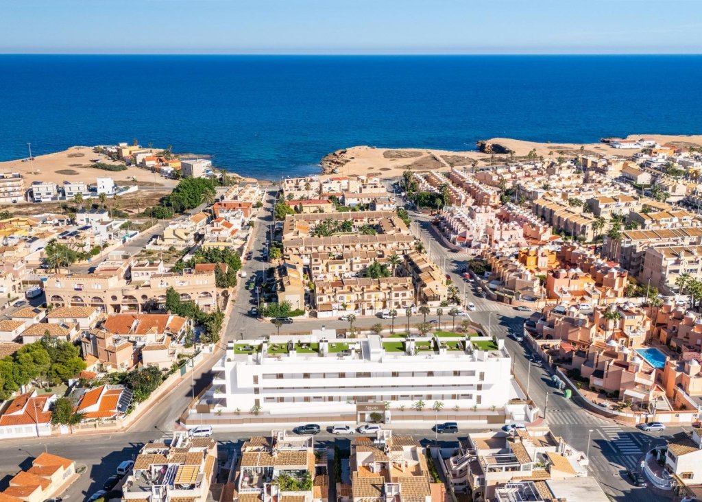 Obra Nueva - Bungalow - Torrevieja - Los Frutales