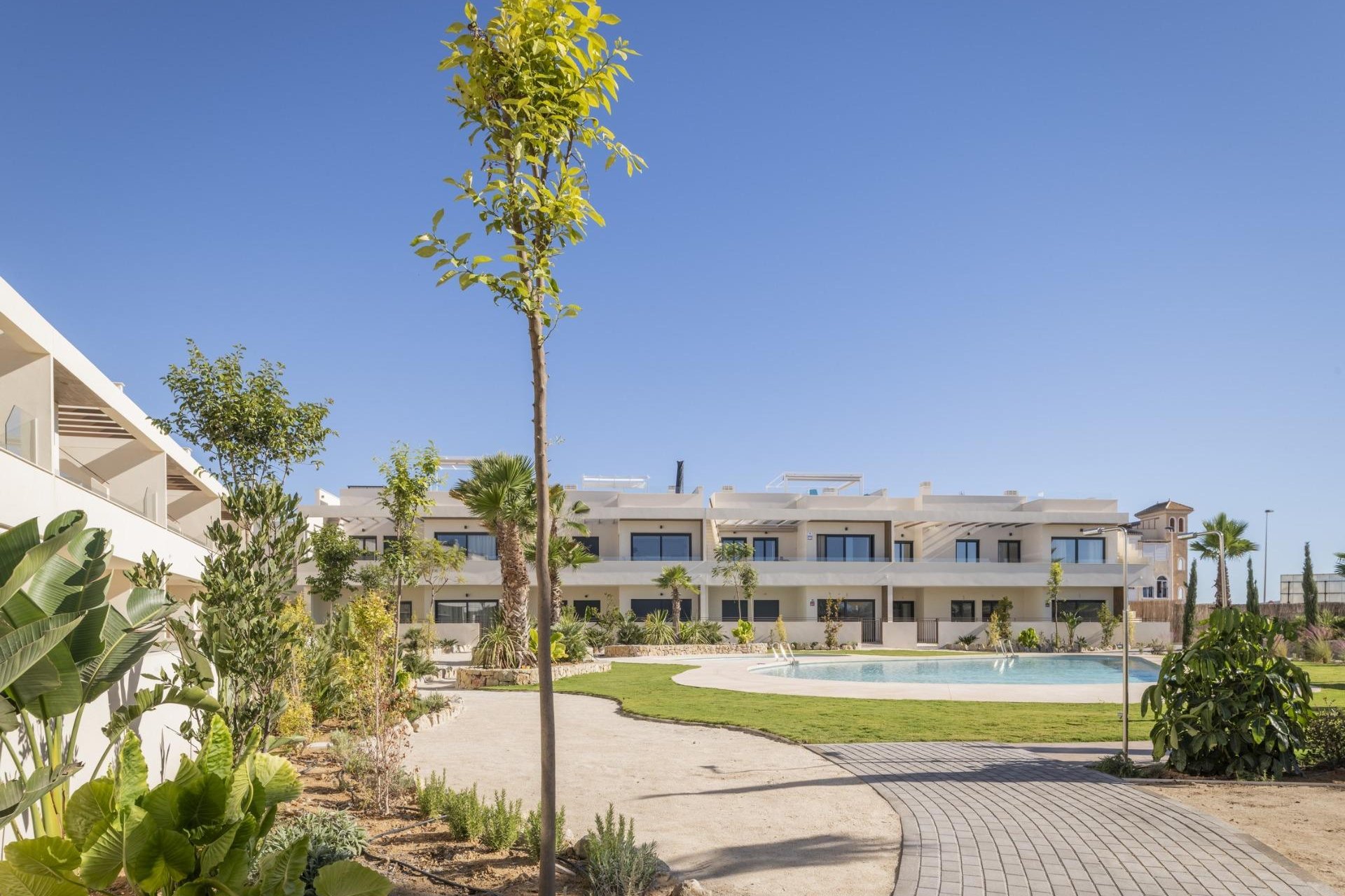 Obra Nueva - Bungalow - Torrevieja - Villa Amalia