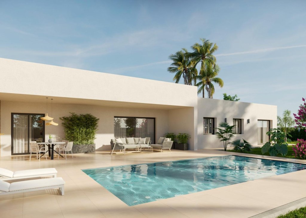 Obra Nueva - Chalet - Aspe - Poligono 19