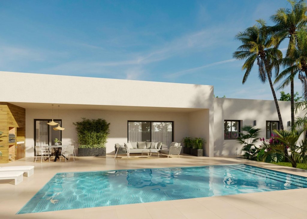 Obra Nueva - Chalet - Aspe - Poligono 19