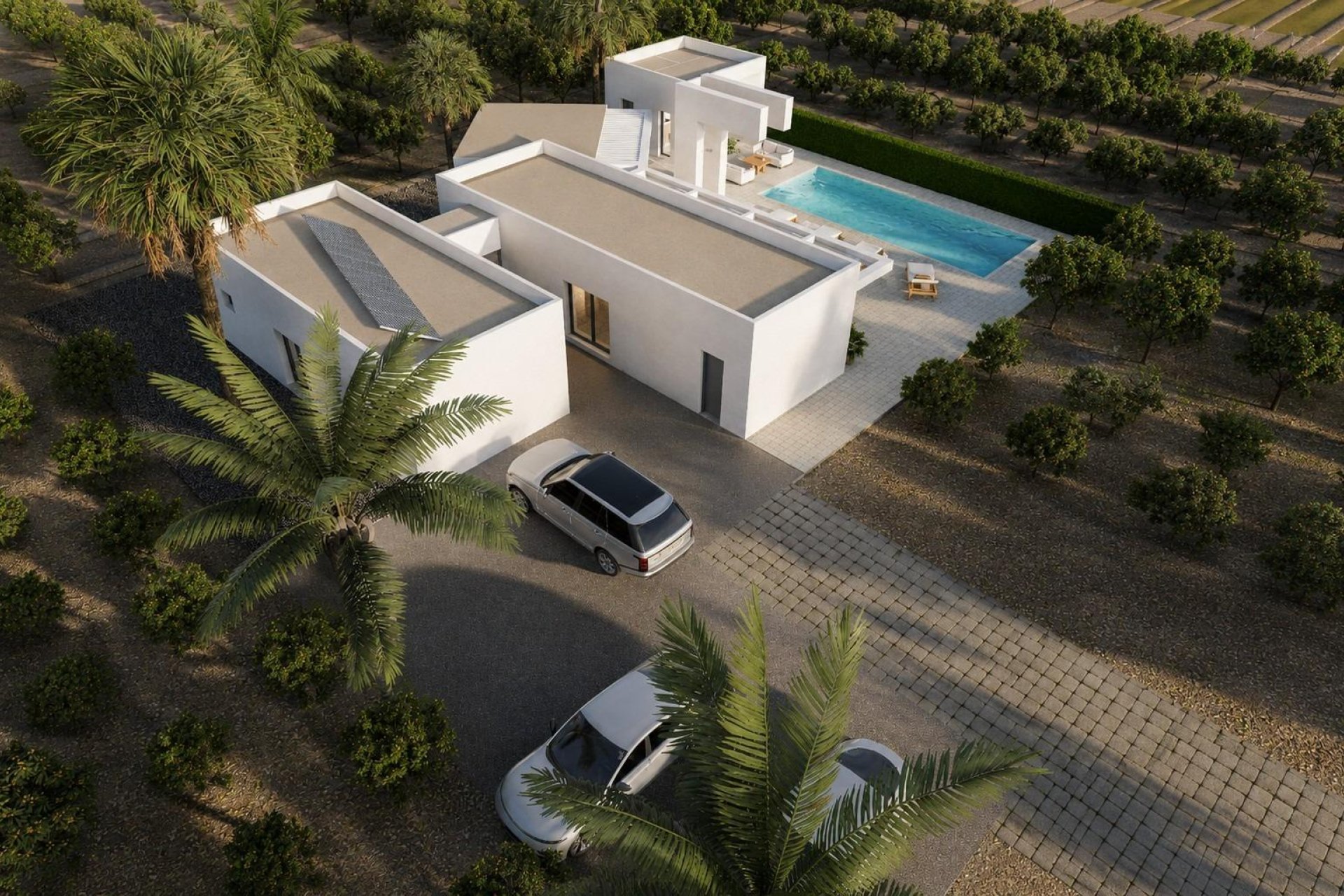 Obra Nueva - Chalet - Benejúzar - alta