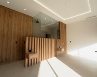 Obra Nueva - Chalet - Benejúzar - alta