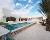 Obra Nueva - Chalet - Benejúzar - alta