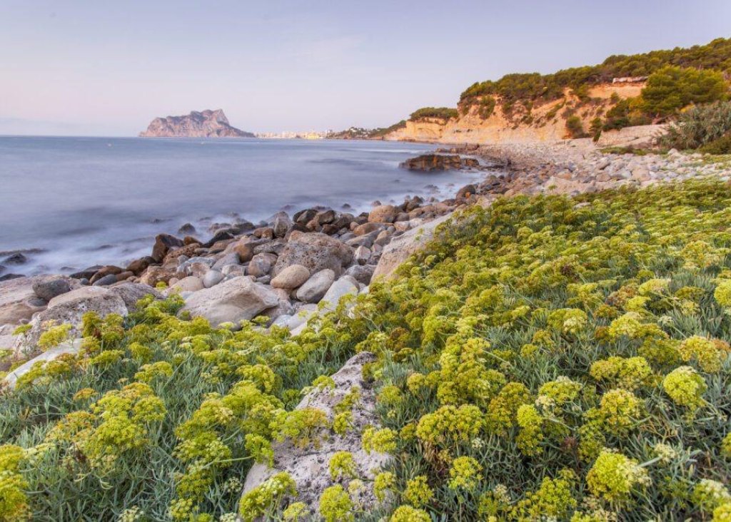 Obra Nueva - Chalet - Benissa - Cala Advocat