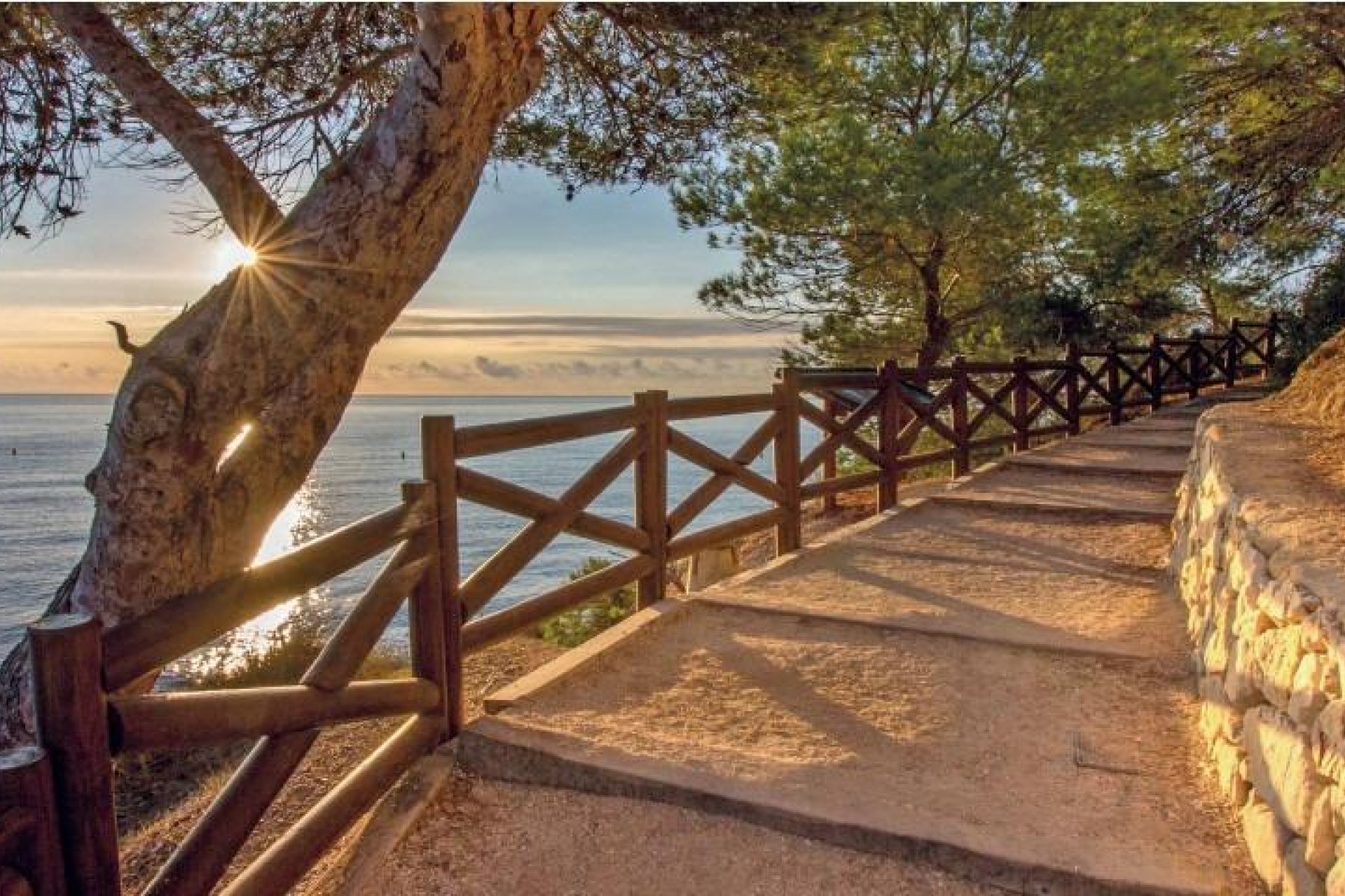 Obra Nueva - Chalet - Benissa - Cala Advocat