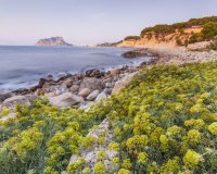 Obra Nueva - Chalet - Benissa - Racó Del Galeno